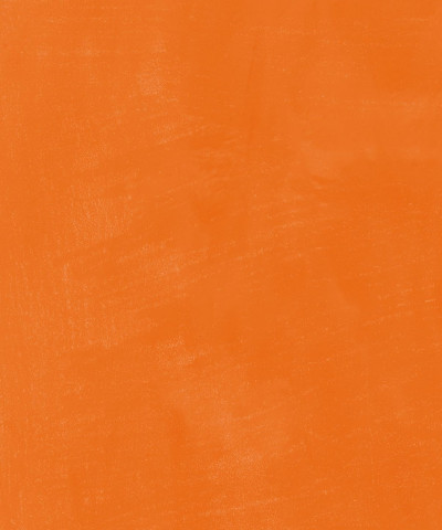 Seitenvorschau Hunde im Futur